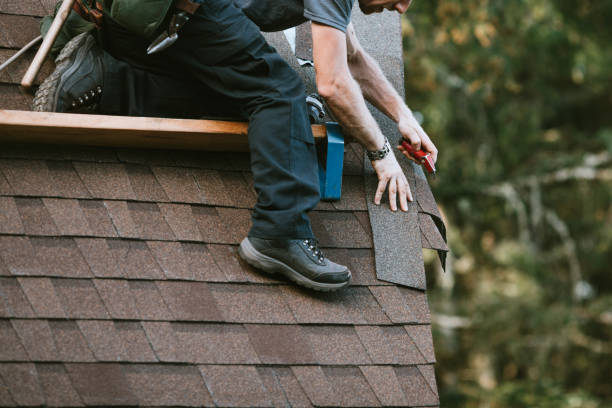 Best Gutter Installation and Roofing  in Mayer, AZ